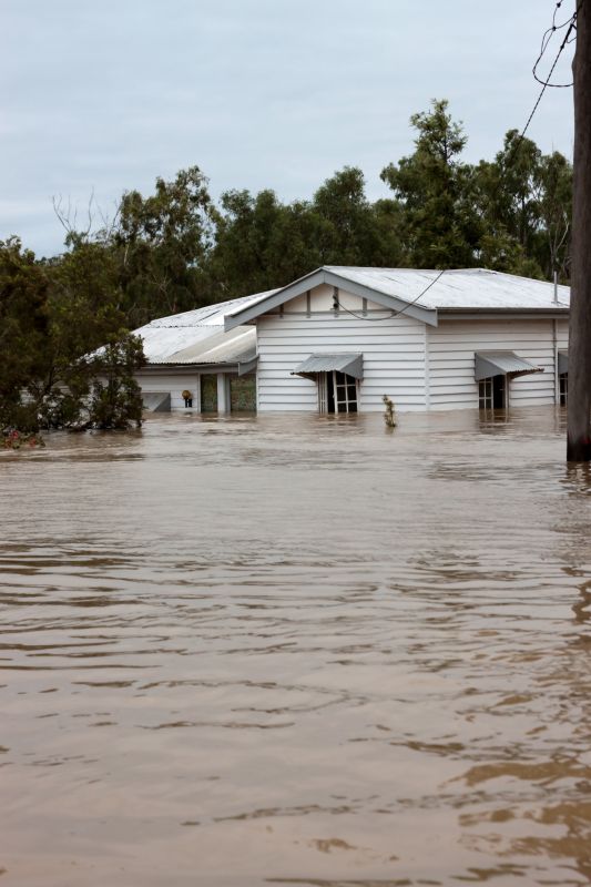Flooded Basement Cleanups detail