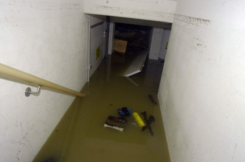 Flooded Basement Cleanups detail