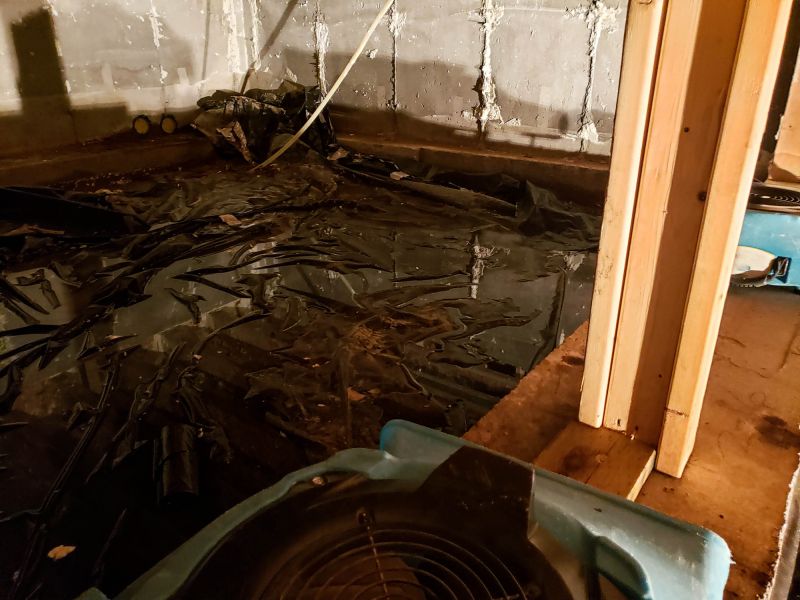 Water Extraction Service in Scottsdale, AZ